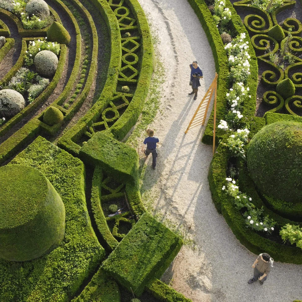 the chateau's formal gardens