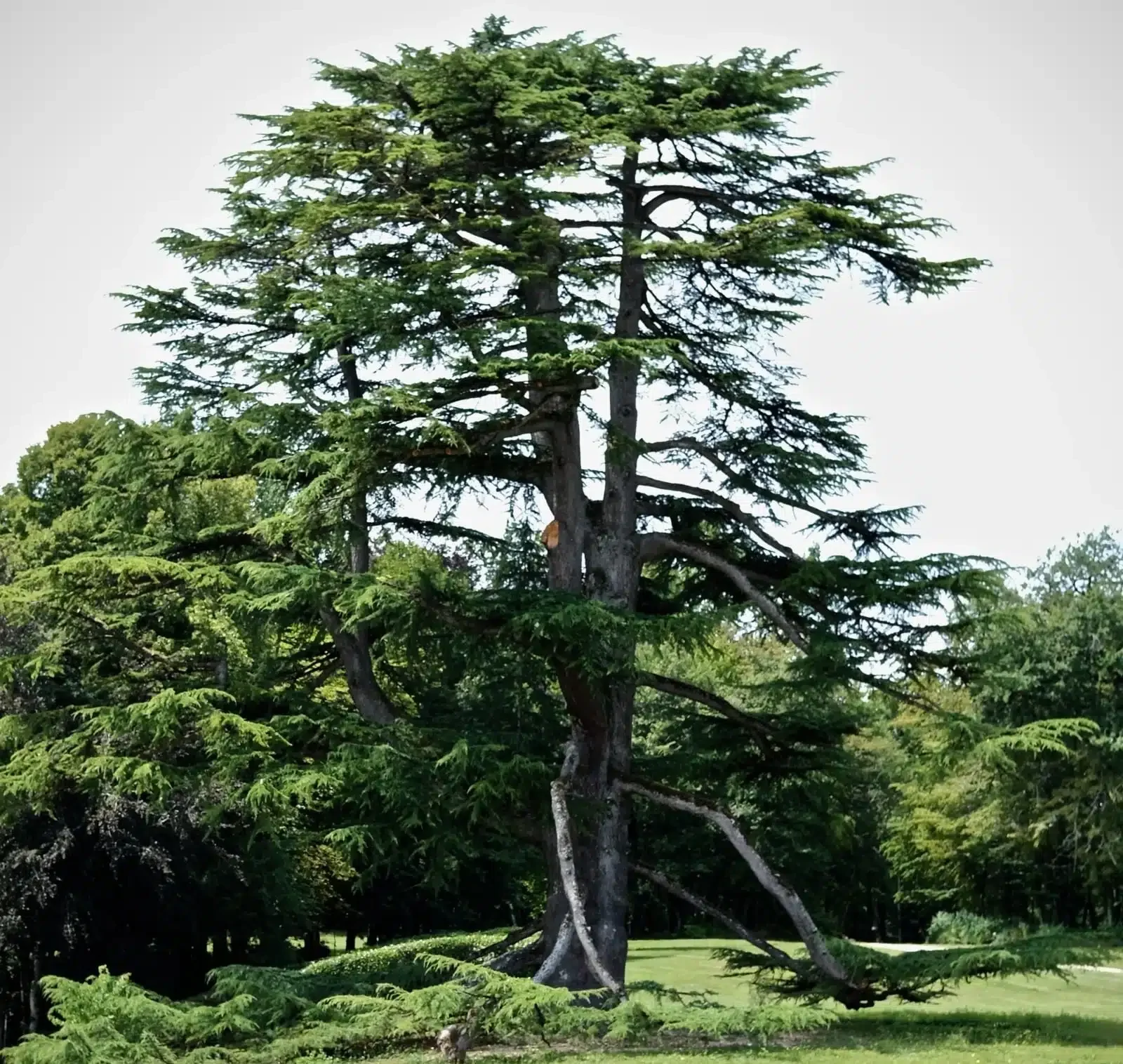 parc paysager dordogne chateau