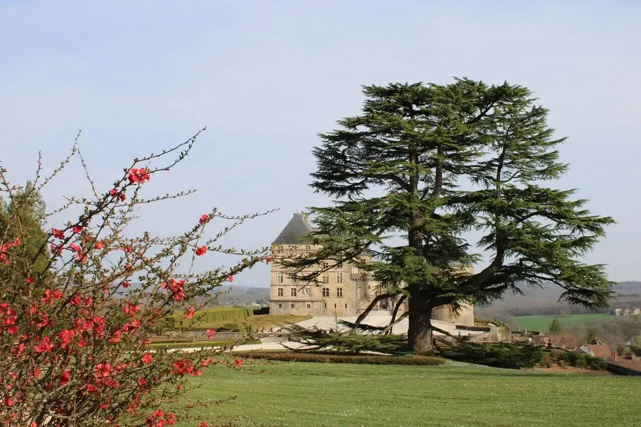 chateau perigord parc paysager